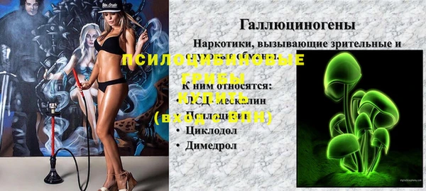 прущие грибы Алексеевка