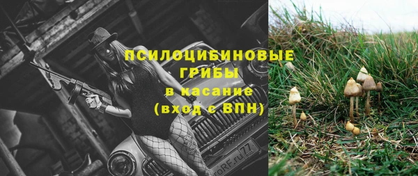 МДПВ Алексин
