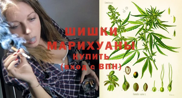 сатива Пересвет