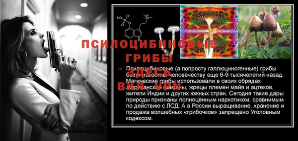 прущие грибы Алексеевка