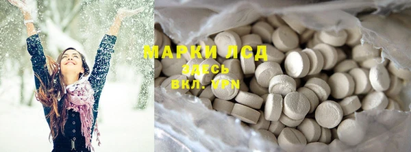 прущие грибы Алексеевка
