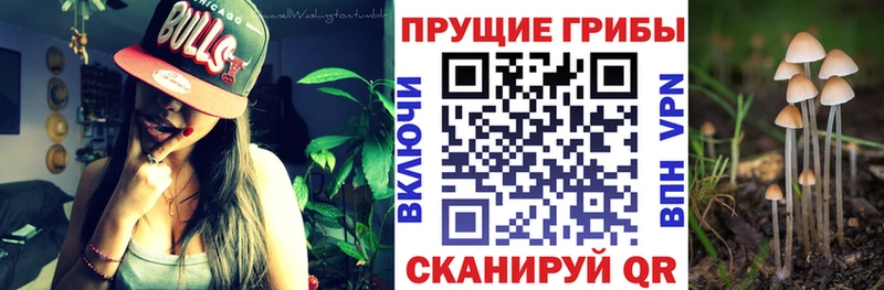 Галлюциногенные грибы Magic Shrooms  Чадан 